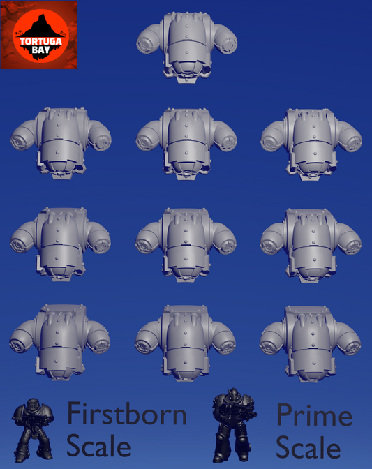 Gen 4 Jump Pack x 10 ~  Tortuga Bay image 0